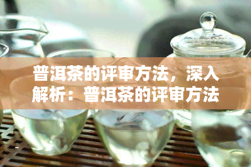 普洱茶的评审方法，深入解析：普洱茶的评审方法与技巧