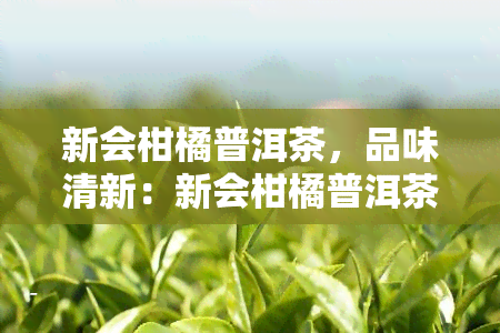 新会柑橘普洱茶，品味清新：新会柑橘普洱茶的独特魅力