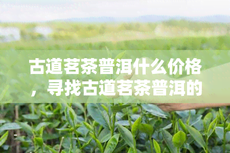 古道茗茶普洱什么价格，寻找古道茗茶普洱的价格信息？这份购买指南或能帮到你！