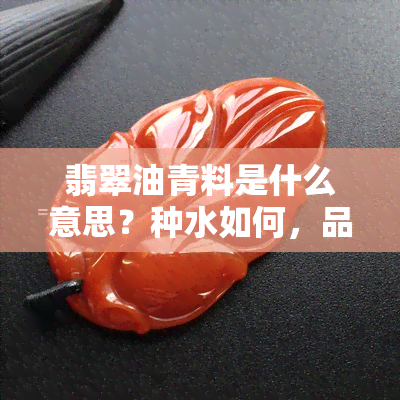 翡翠油青料是什么意思？种水如何，品质好吗？