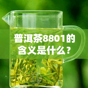 普洱茶8801的含义是什么？