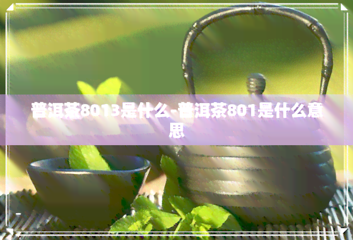 普洱茶8013是什么-普洱茶801是什么意思