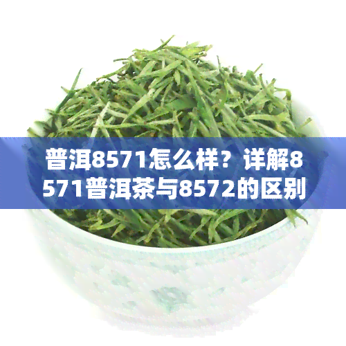 普洱8571怎么样？详解8571普洱茶与8572的区别与特点