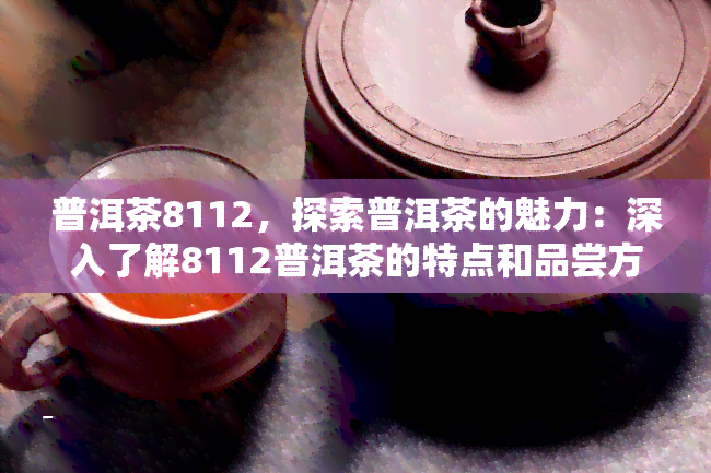 普洱茶8112，探索普洱茶的魅力：深入了解8112普洱茶的特点和品尝方法