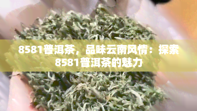 8581普洱茶，品味云南风情：探索8581普洱茶的魅力