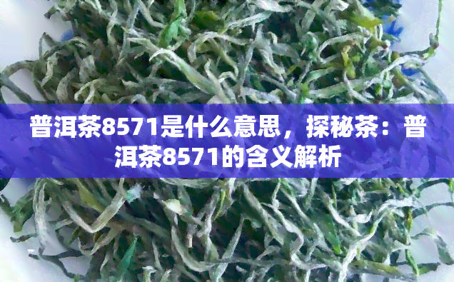 普洱茶8571是什么意思，探秘茶：普洱茶8571的含义解析