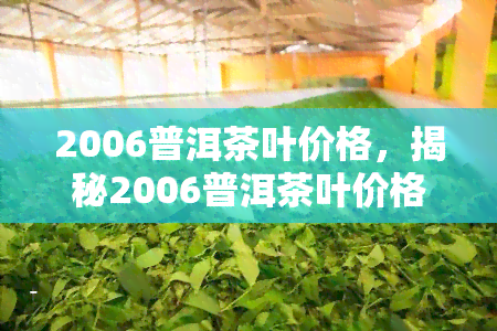 2006普洱茶叶价格，揭秘2006普洱茶叶价格：背后的故事与影响