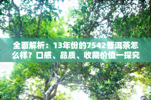 全面解析：13年份的7542普洱茶怎么样？口感、品质、收藏价值一探究竟！