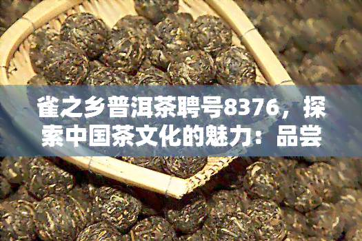 雀之乡普洱茶聘号8376，探索中国茶文化的魅力：品尝聘号8376普洱茶，感受雀之乡的韵味