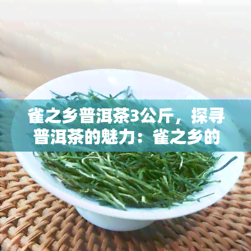 雀之乡普洱茶3公斤，探寻普洱茶的魅力：雀之乡的3公斤精选茶叶