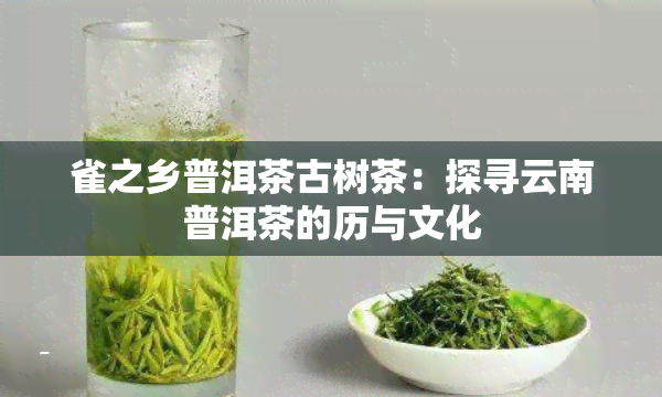 雀之乡普洱茶古树茶：探寻云南普洱茶的历与文化