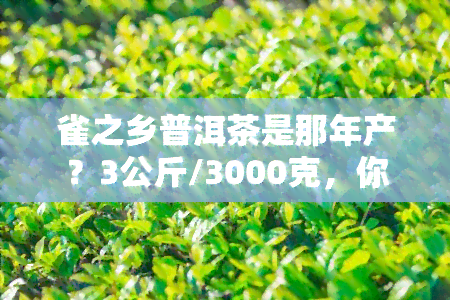 雀之乡普洱茶是那年产？3公斤/3000克，你想要知道吗？