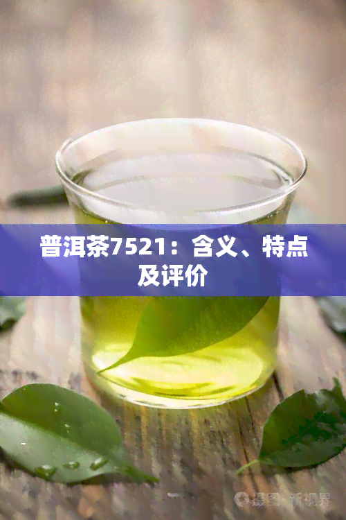 普洱茶7521：含义、特点及评价