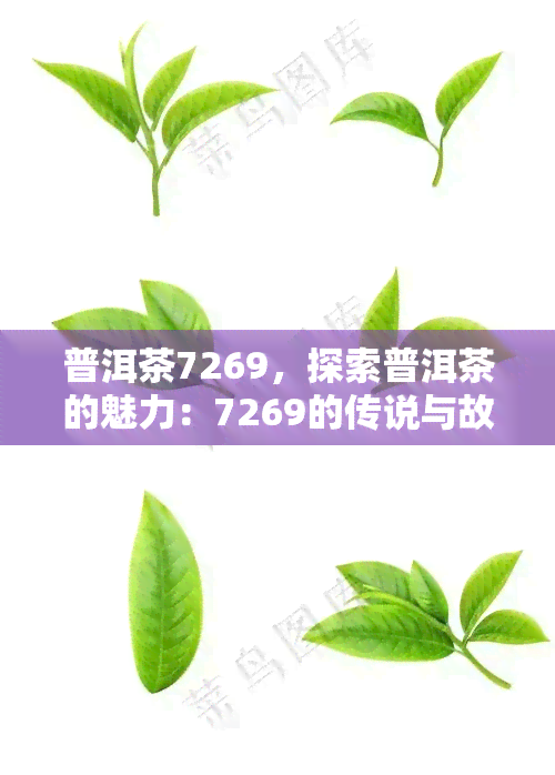 普洱茶7269，探索普洱茶的魅力：7269的传说与故事