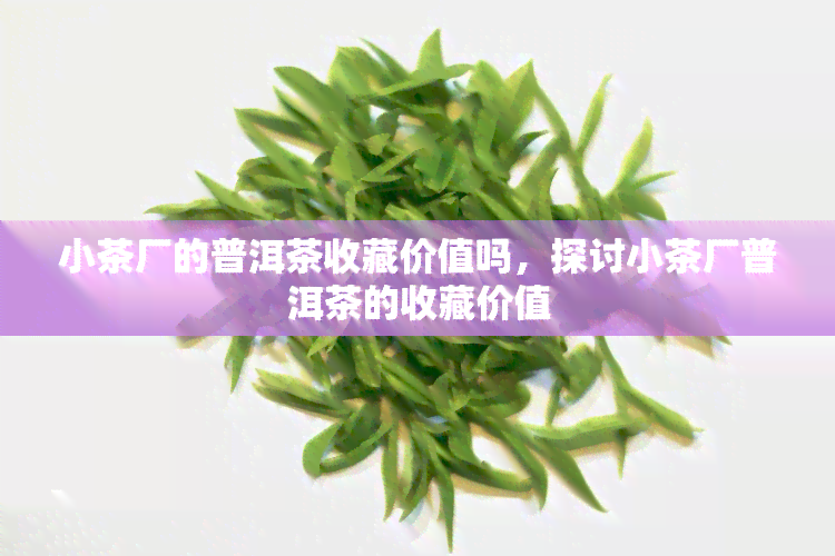 小茶厂的普洱茶收藏价值吗，探讨小茶厂普洱茶的收藏价值