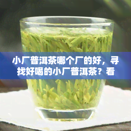 小厂普洱茶哪个厂的好，寻找好喝的小厂普洱茶？看这篇就知道哪个厂的最棒！