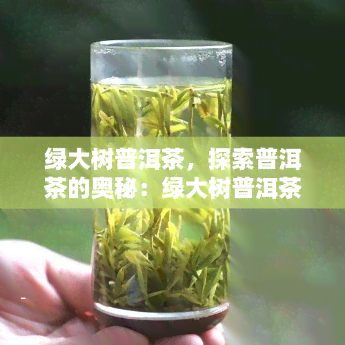 绿大树普洱茶，探索普洱茶的奥秘：绿大树普洱茶的故事与理念