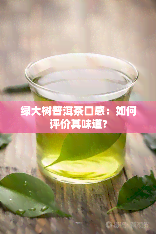 绿大树普洱茶口感：如何评价其味道?