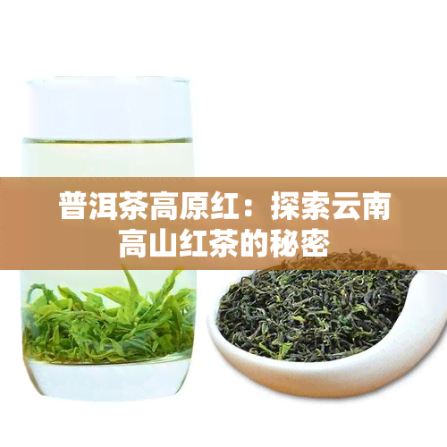 普洱茶高原红：探索云南高山红茶的秘密