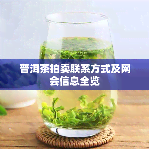 普洱茶拍卖联系方式及网会信息全览