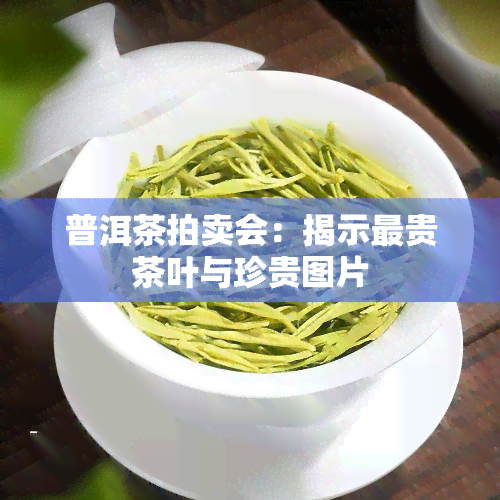 普洱茶拍卖会：揭示最贵茶叶与珍贵图片