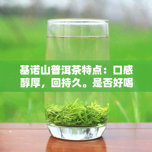 基诺山普洱茶特点：口感醇厚，回持久。是否好喝？价格多少？