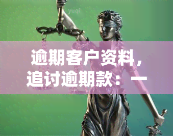 逾期客户资料，追讨逾期款：一份全面的客户资料分析报告