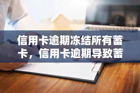 信用卡逾期冻结所有蓄卡，信用卡逾期导致蓄卡被冻结，怎么办？