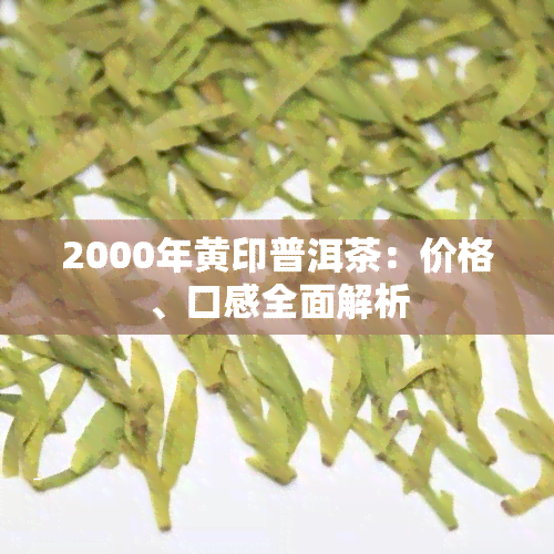 2000年黄印普洱茶：价格、口感全面解析