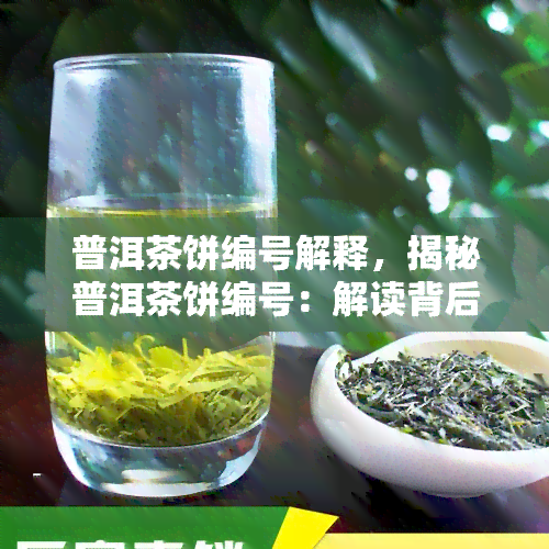 普洱茶饼编号解释，揭秘普洱茶饼编号：解读背后的含义与作用