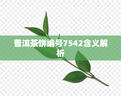 普洱茶饼编号7542含义解析