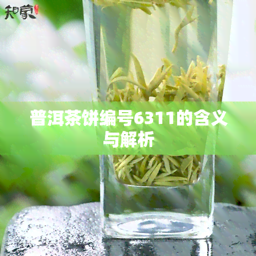 普洱茶饼编号6311的含义与解析