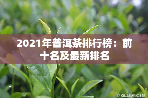 2021年普洱茶排行榜：前十名及最新排名