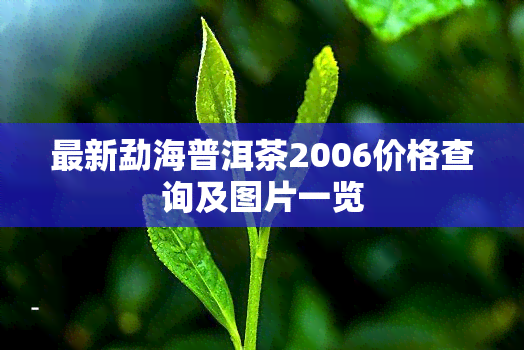 最新勐海普洱茶2006价格查询及图片一览