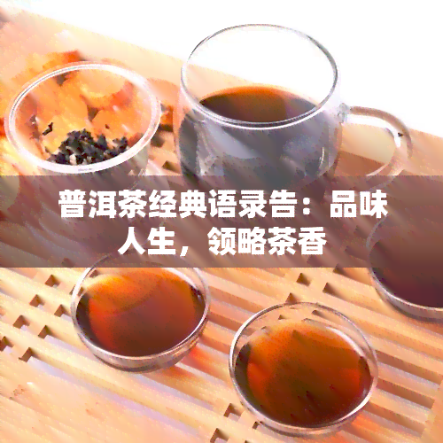 普洱茶经典语录告：品味人生，领略茶香