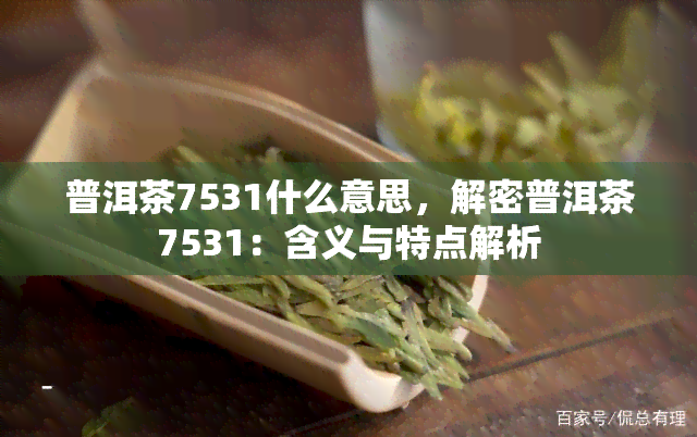 普洱茶7531什么意思，解密普洱茶7531：含义与特点解析