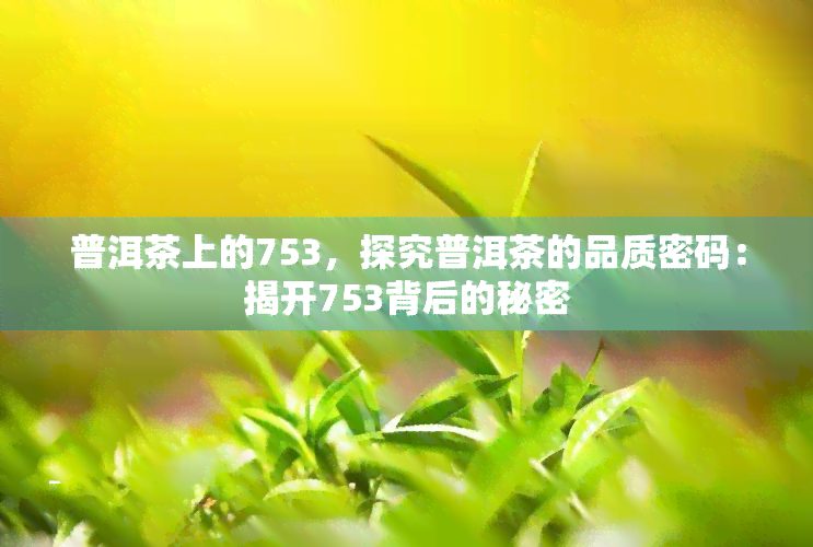 普洱茶上的753，探究普洱茶的品质密码：揭开753背后的秘密