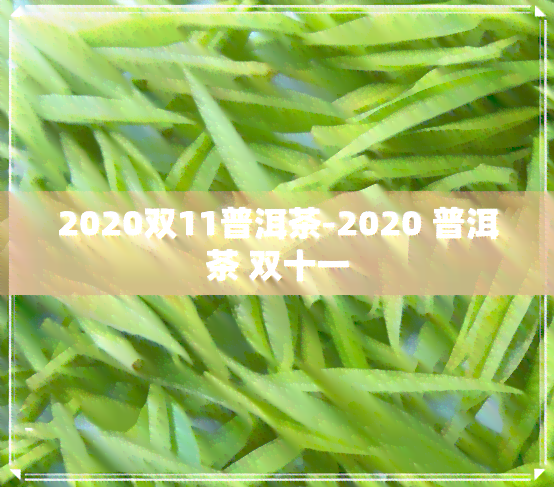 2020双11普洱茶-2020 普洱茶 双十一