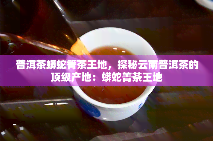 普洱茶蟒蛇箐茶王地，探秘云南普洱茶的顶级产地：蟒蛇箐茶王地