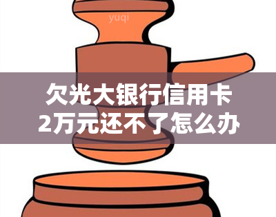 欠光大银行信用卡2万元还不了怎么办，信用卡欠款2万无法偿还，应该如何解决？