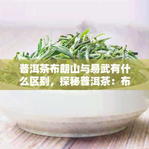 普洱茶布朗山与易武有什么区别，探秘普洱茶：布朗山与易武的口感差异与特点比较