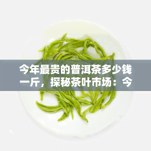 今年最贵的普洱茶多少钱一斤，探秘茶叶市场：今年最贵的普洱茶每斤售价几何？