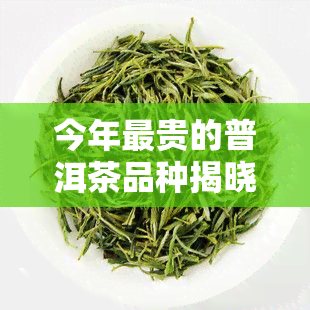 今年最贵的普洱茶品种揭晓，哪种售价更高？