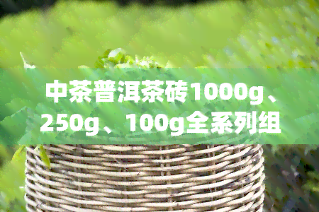 中茶普洱茶砖1000g、250g、100g全系列组合装，一应俱全！