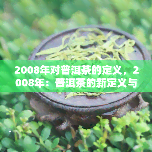 2008年对普洱茶的定义，2008年：普洱茶的新定义与解读