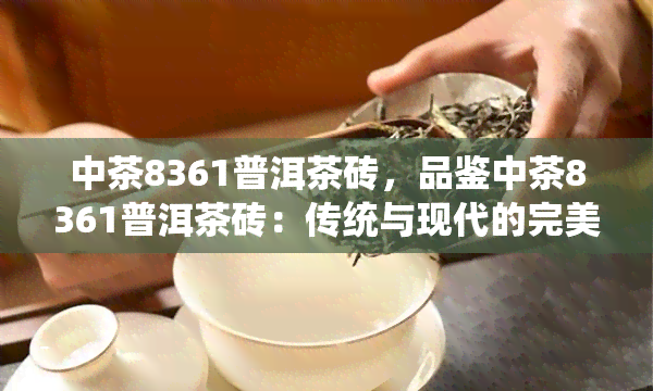 中茶8361普洱茶砖，品鉴中茶8361普洱茶砖：传统与现代的完美结合