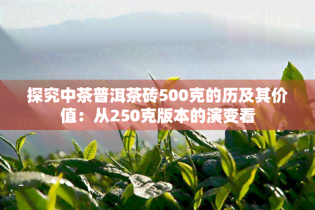 探究中茶普洱茶砖500克的历及其价值：从250克版本的演变看