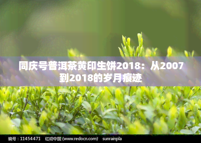 同庆号普洱茶黄印生饼2018：从2007到2018的岁月痕迹