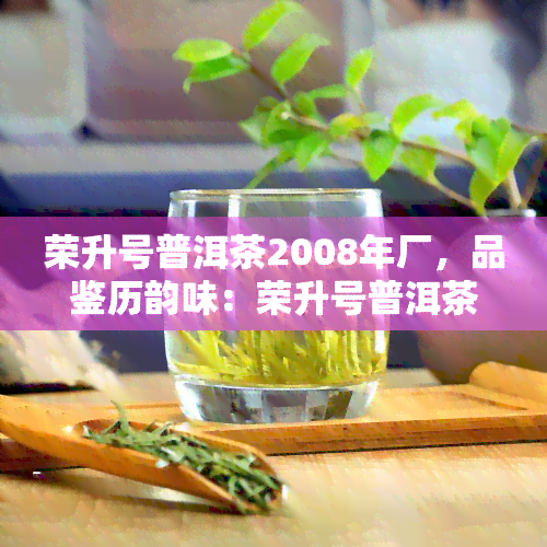 荣升号普洱茶2008年厂，品鉴历韵味：荣升号普洱茶2008年厂的珍藏版