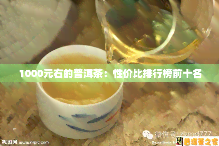 1000元右的普洱茶：性价比排行榜前十名